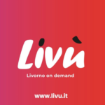 A good practice – How to disseminate culture through a creative industry project: Livu’ a cultural web TV